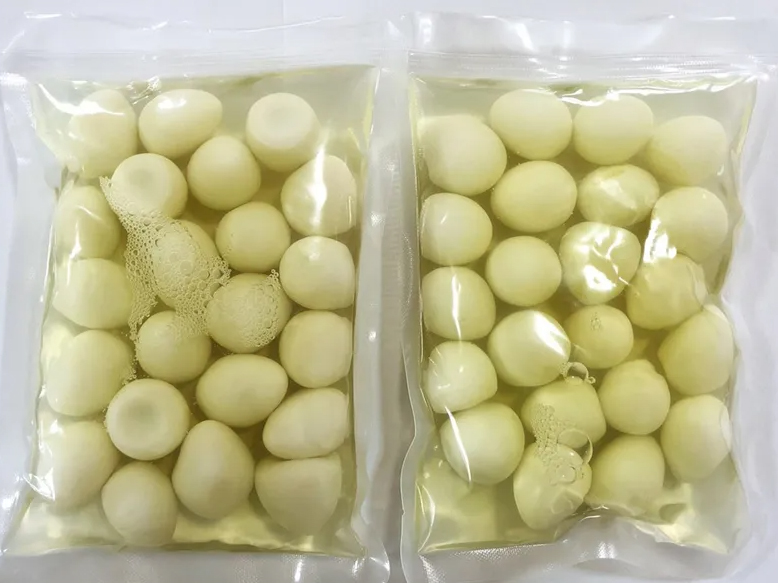 宿州河南省武陟县鹌鹑蛋厂家生产用水处理指南